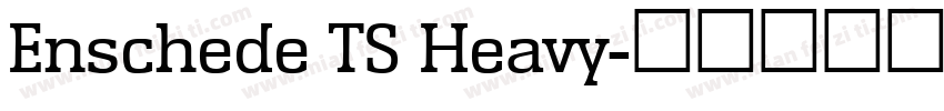 Enschede TS Heavy字体转换